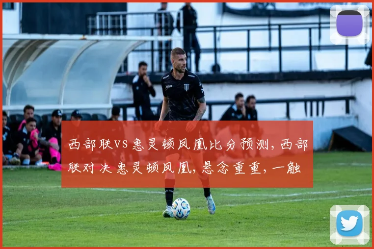 西部联vs惠灵顿凤凰比分预测,西部联对决惠灵顿凤凰,悬念重重,一触即发